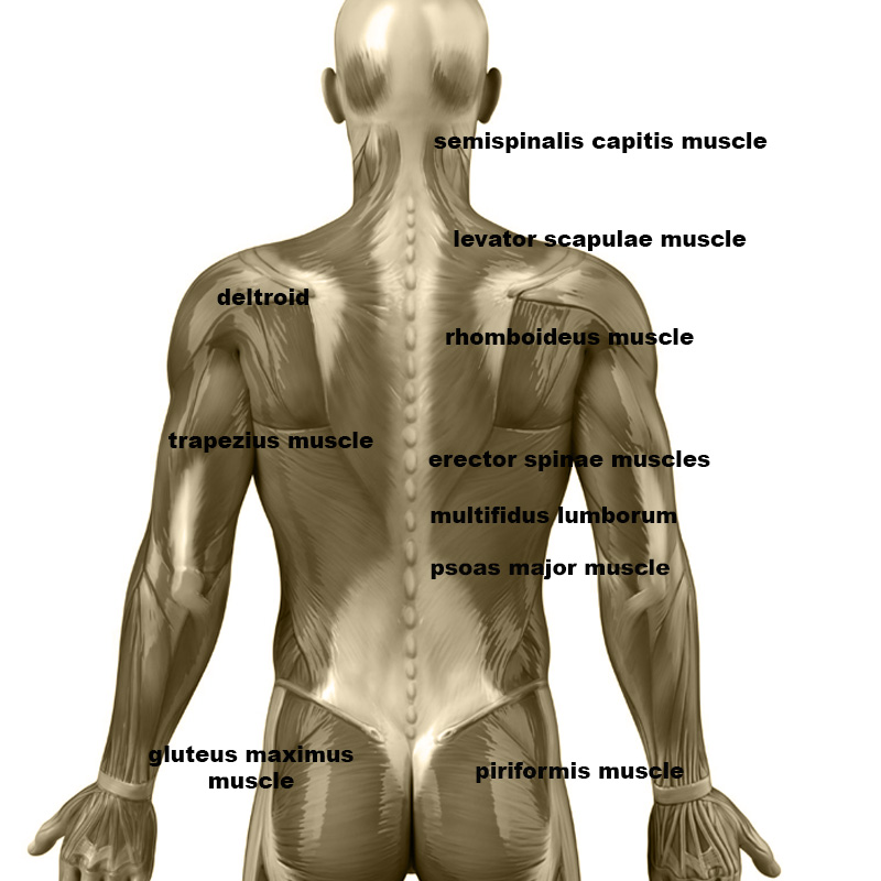 Масаж на горната част на раменете - Удължаване на ролката 